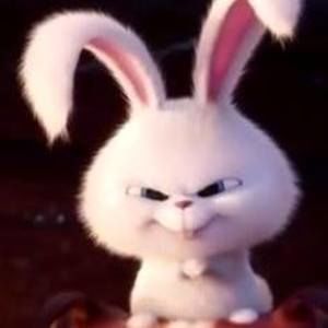 Meet your Posher, Jo beth